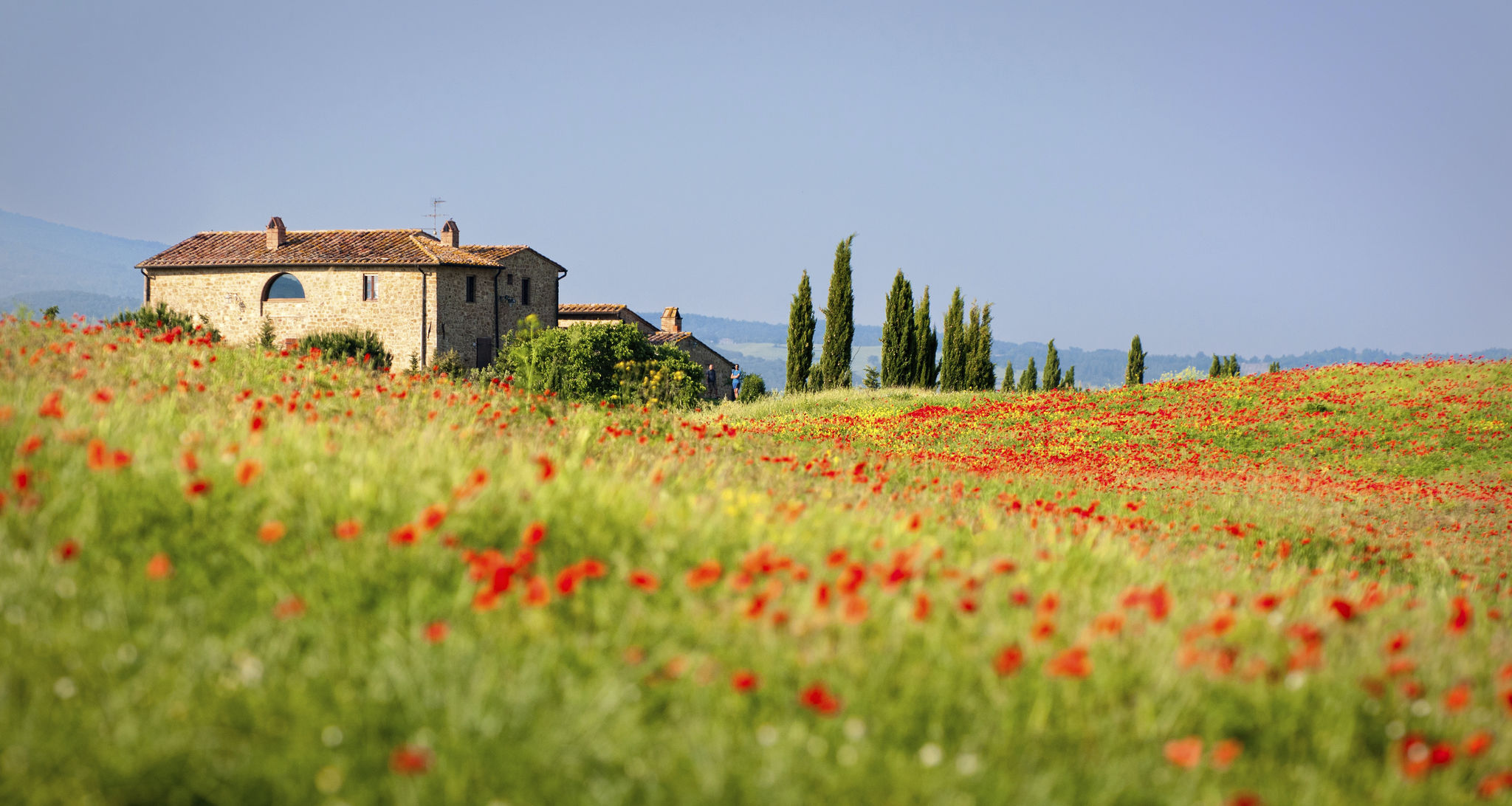 landscape architecture Tuscany