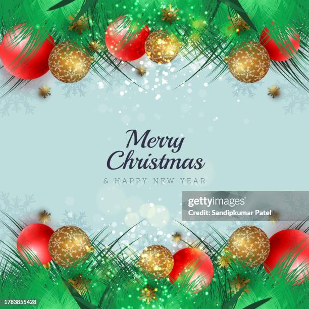 vector christmas decoration. christmas tree border with holly berries. - christmas header white background stock illustrations