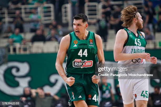 Kostantinos Mitoglou, #44 of Panathinaikos Athens react during the Turkish Airlines EuroLeague Regular Season Round 8 match between Panathinaikos...