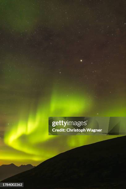 nordlicht, polarlicht, aurora borealis, northern light - polarlicht imagens e fotografias de stock