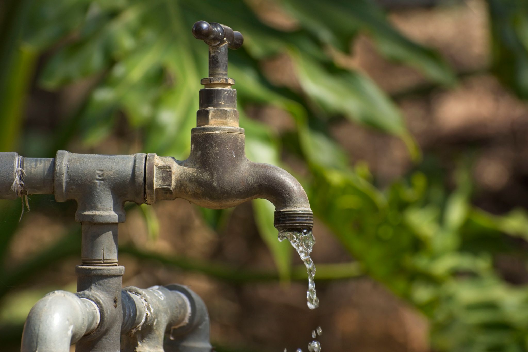 Brass tap in garden Brass tap in garden