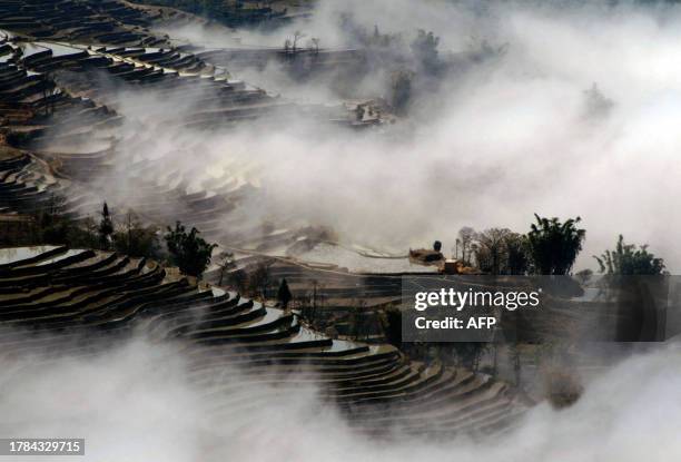 Terrace paddy fields are covered in morning mist in Yuanyang, southwest China's Yunnan province on December 1, 2010. China will increase grain...