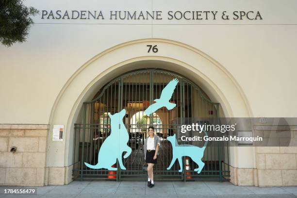 Rachel Bilson attends the Dog Day of Service with Rachel Bilson and Nutrish at Pasadena Humane Society on November 09, 2023 in Pasadena, California.