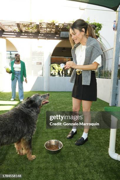 Rachel Bilson and Bandit during the Dog Day of Service with Rachel Bilson and Nutrish at Pasadena Humane Society on November 09, 2023 in Pasadena,...