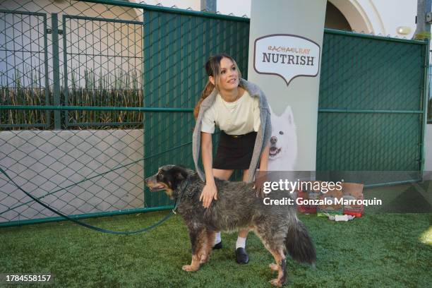 Rachel Bilson and Bandit during the Dog Day of Service with Rachel Bilson and Nutrish at Pasadena Humane Society on November 09, 2023 in Pasadena,...