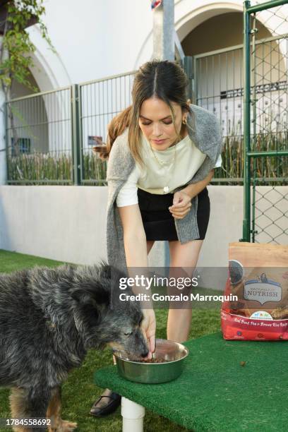 Rachel Bilson and Bandit during the Dog Day of Service with Rachel Bilson and Nutrish at Pasadena Humane Society on November 09, 2023 in Pasadena,...