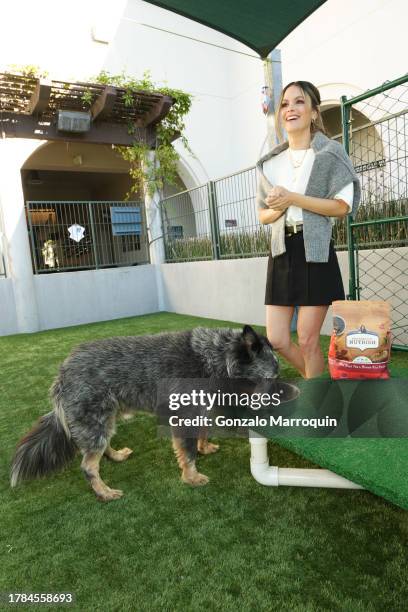 Rachel Bilson and Bandit during the Dog Day of Service with Rachel Bilson and Nutrish at Pasadena Humane Society on November 09, 2023 in Pasadena,...