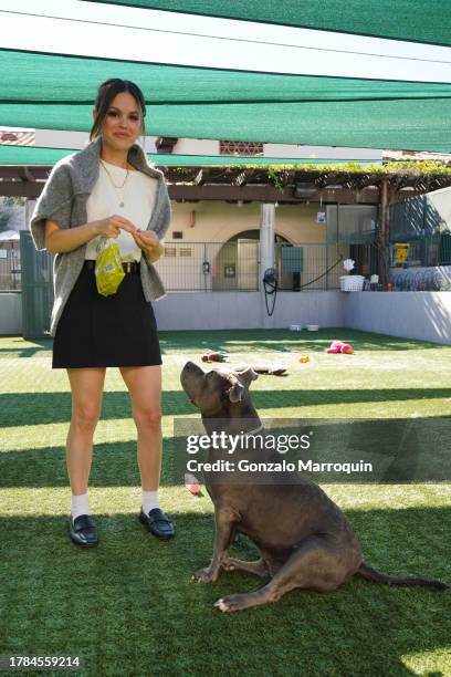 Rachel Bilson and Daisy during the Dog Day of Service with Rachel Bilson and Nutrish at Pasadena Humane Society on November 09, 2023 in Pasadena,...