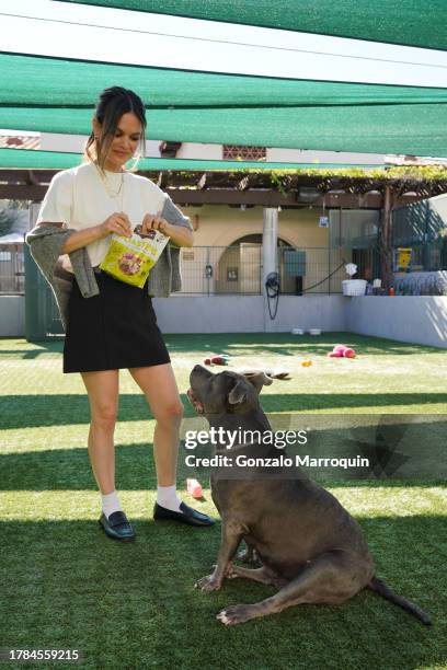 Rachel Bilson and Daisy during the Dog Day of Service with Rachel Bilson and Nutrish at Pasadena Humane Society on November 09, 2023 in Pasadena,...