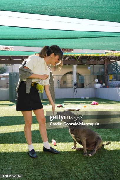 Rachel Bilson and Daisy during the Dog Day of Service with Rachel Bilson and Nutrish at Pasadena Humane Society on November 09, 2023 in Pasadena,...