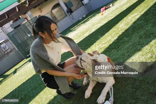 Rachel Bilson and Benny the bulldog during the Dog Day of Service with Rachel Bilson and Nutrish at Pasadena Humane Society on November 09, 2023 in...