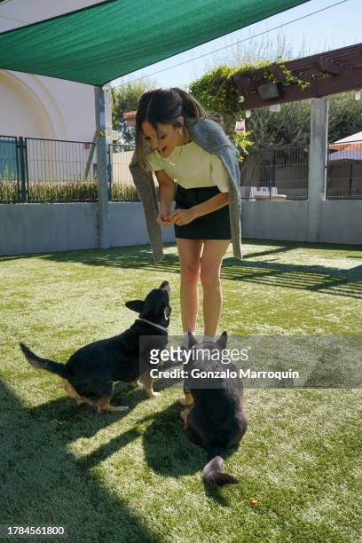 Rachel Bilson with Bonnie and Clyde during the Dog Day of Service with Rachel Bilson and Nutrish at Pasadena Humane Society on November 09, 2023 in...