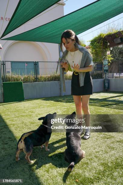 Rachel Bilson with Bonnie and Clyde during the Dog Day of Service with Rachel Bilson and Nutrish at Pasadena Humane Society on November 09, 2023 in...