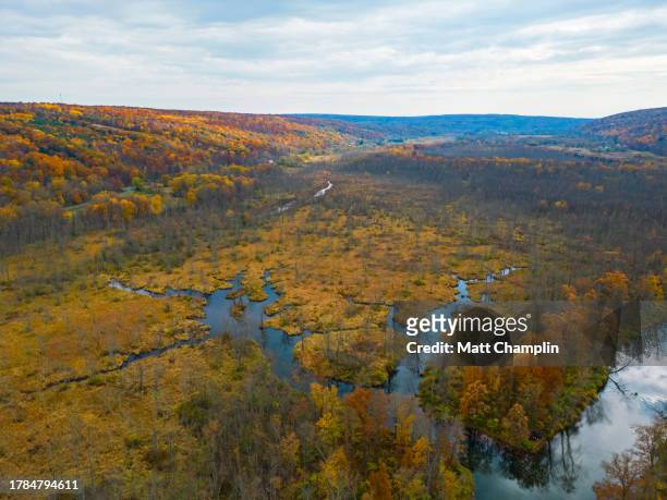 aerial view of valley in autumn - czech republic river stock pictures, royalty-free photos & images