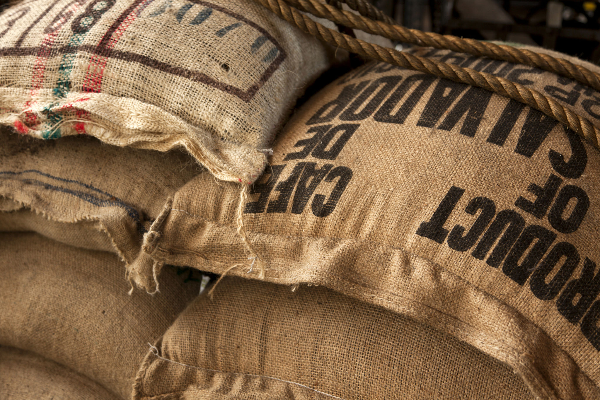 coffee logistics