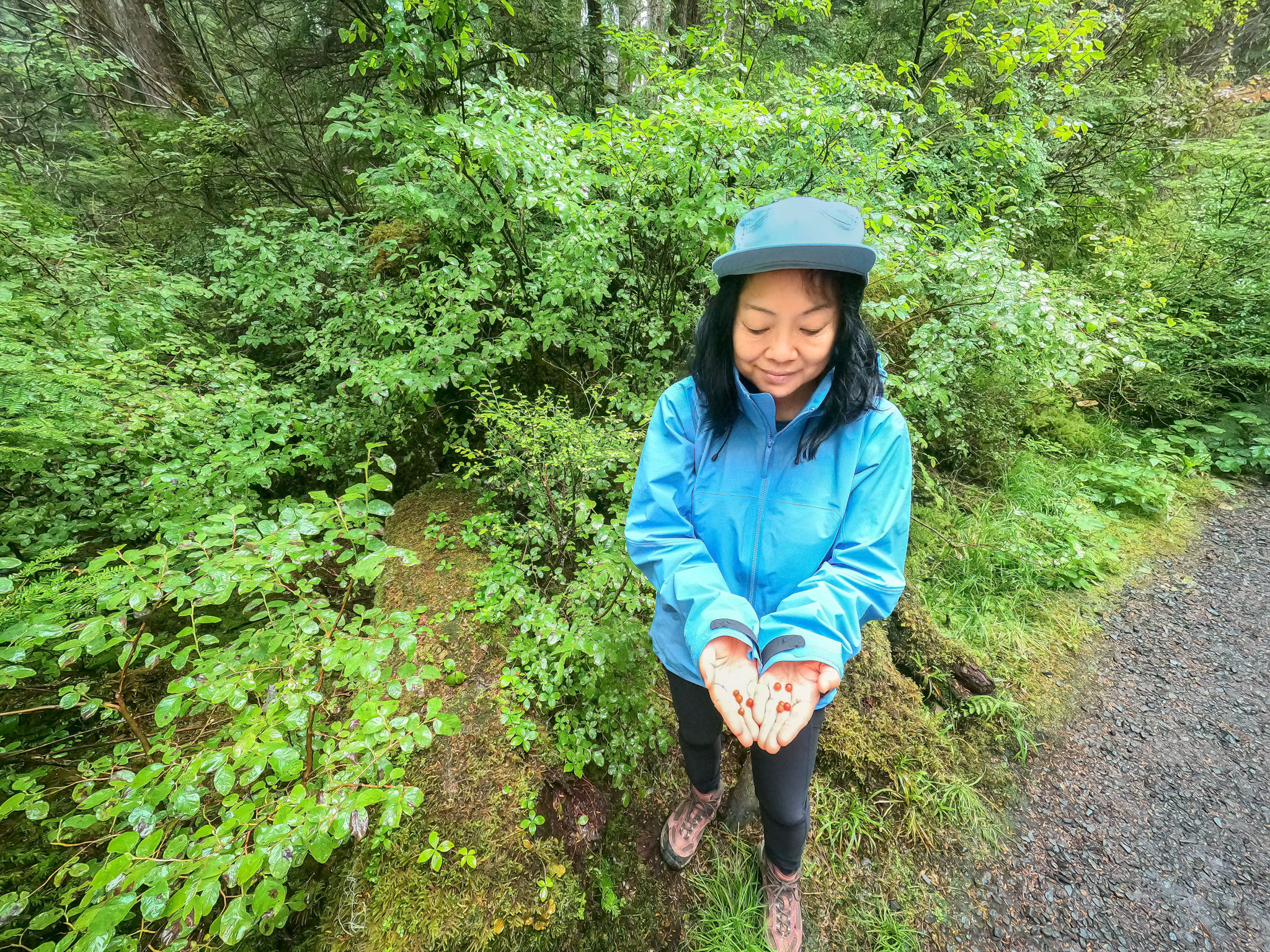 wilderness coaching