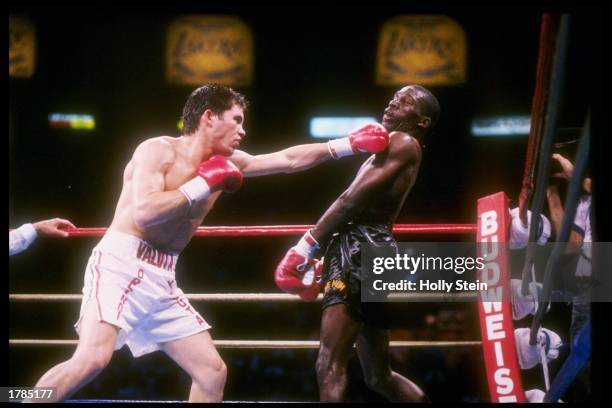 Julio Cesar Chavez throws a punch during a fight against Roger Mayweather. Chavez won the fight. Mandatory Credit: Holly Stein /Allsport