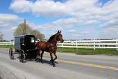 Amish Horse and buggy in Lancaster, Pennsylvania