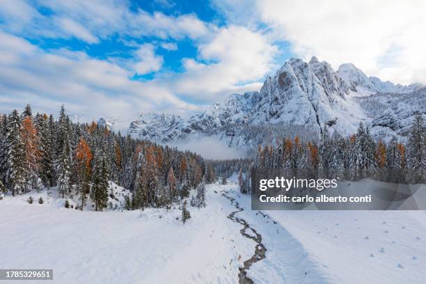 the snow cover the larix and the mountain during an autumn day, cortina d'ampezzo, veneto, dolomiti, italy, europe - cortina dampezzo stock pictures, royalty-free photos & images
