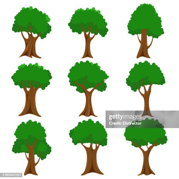 tree vector set - tree trunk stock illustrations