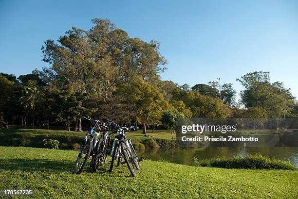 parque do ibirapuera - ibirapuera park stockfoto's en -beelden