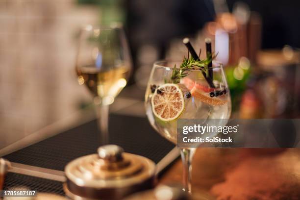 fruity gin and tonic - gin and tonic stock pictures, royalty-free photos & images