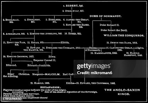 Ifm Tree Old Engraved Diagram Of Family Tree The Anglosaxon Kings High-Res Stock ...