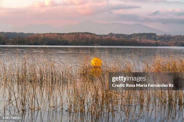 rowboat and reflection in lake of bayonles at sunset.  (estany de banyoles) - banyoles stockfoto's en -beelden