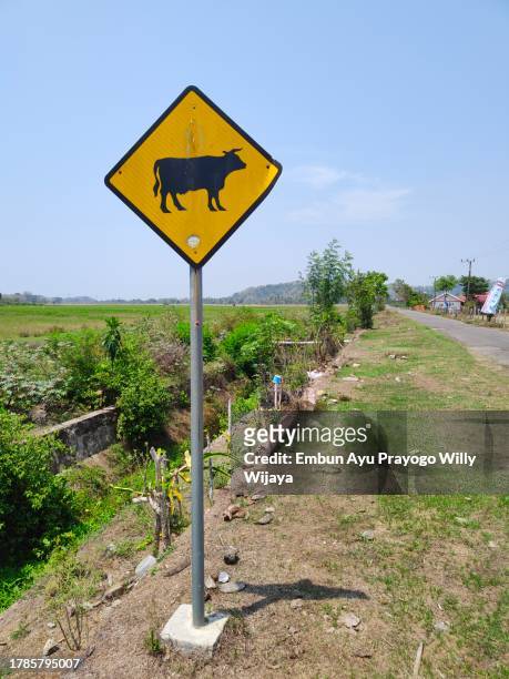 cattle crossing sign - safety sign stock pictures, royalty-free photos & images