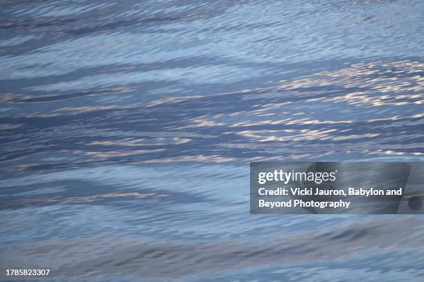 beautiful pattern of glittering ripples and swirls in water near isle of skye, scotland - beyond stock pictures, royalty-free photos & images