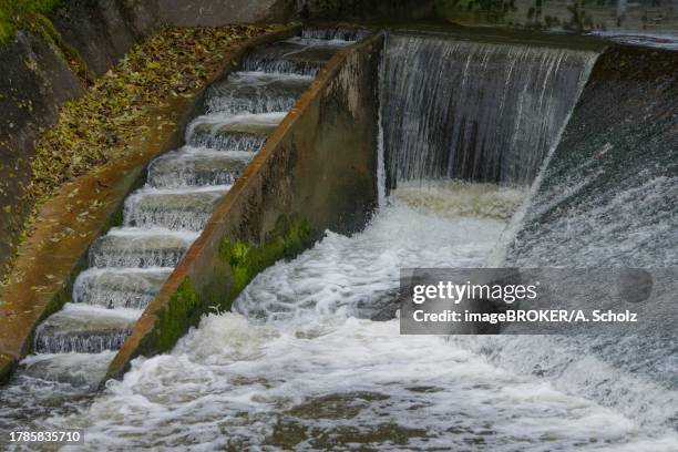 fish ladder, rose garden, swabian-franconian forest nature park park, kocher valley, schwaebisch hall, hohenlohe, heilbronn-franconia, baden-wuerttemberg, germany - fish ladder stock-fotos und bilder