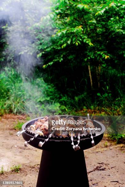 pork shashlik on the outdoor grill - rotisserie stock pictures, royalty-free photos & images
