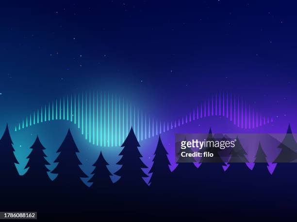 ilustrações de stock, clip art, desenhos animados e ícones de northern lights aurora borealis pine tree background - aurora borealis