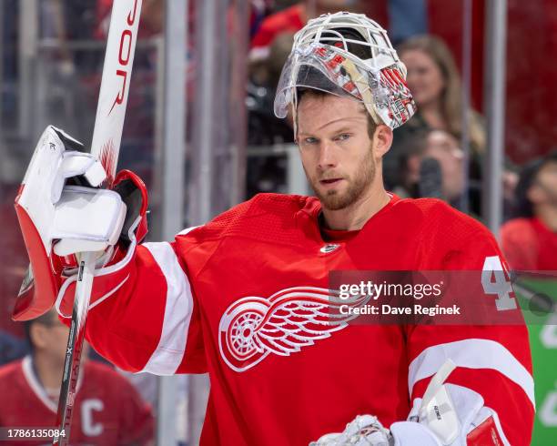 James Reimer of the Detroit Red Wings skates around on a play stoppage against the Montreal Canadiens during the second period at Little Caesars...