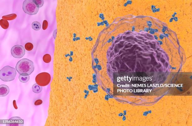 rheumatoid arthritis, illustration - autoimmune disease stock illustrations