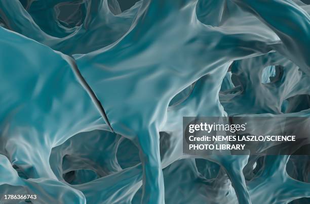 fractures in osteoporotic bone tissue, illustration - osteocyte stock illustrations