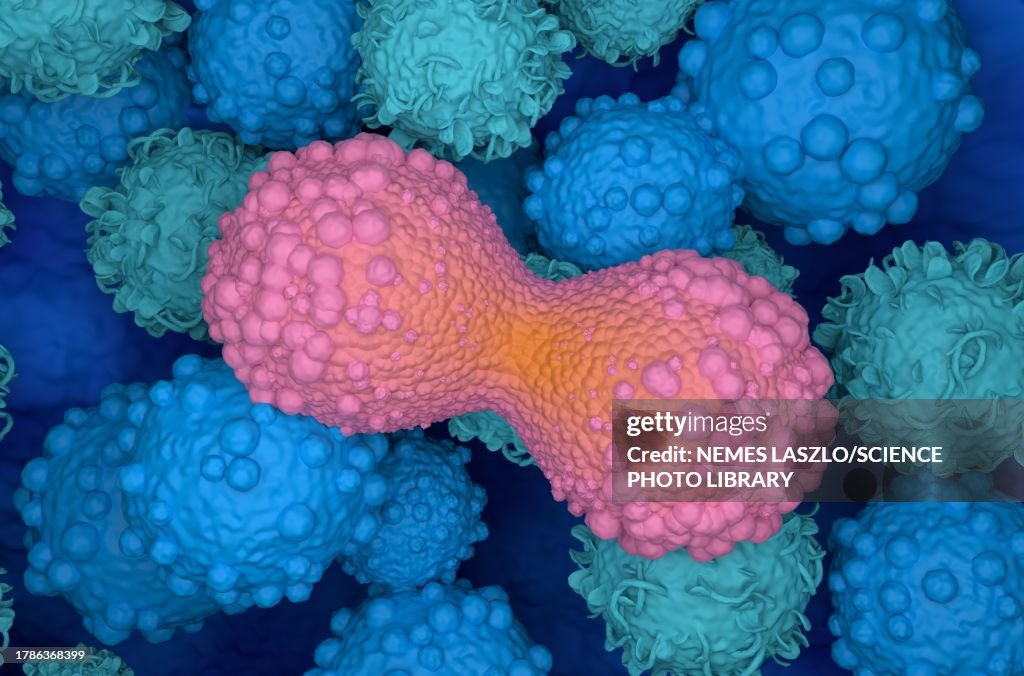 Cancer Cell With Ruler Cancer Cells Dividing Illustration High-Res Vector Graphic - Getty Images