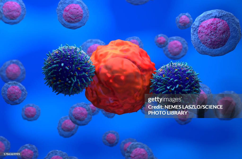 CAR-T cell therapy, illustration