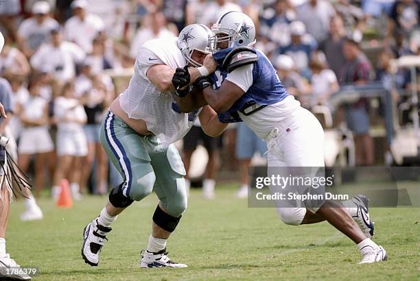 Steve Springstead Linebacker University Of St Thomas (Texas) Photos and Premium High Res Pictures ...