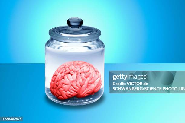 human brain in glass jar, illustration - brain in a jar stock illustrations