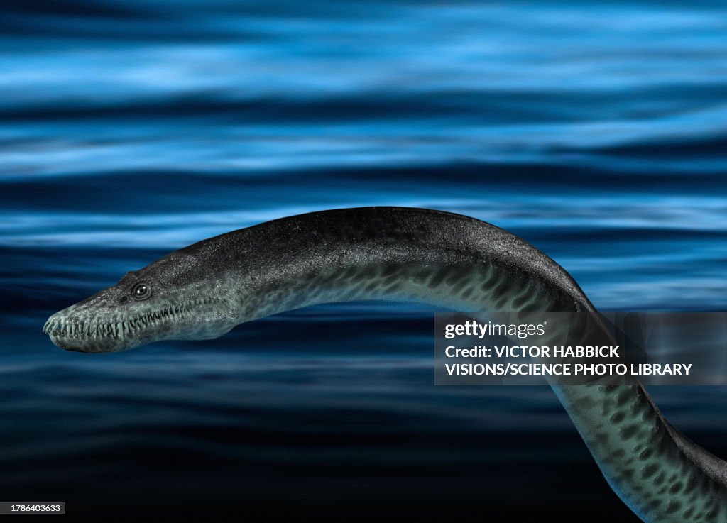 Loch Ness monster, illustration