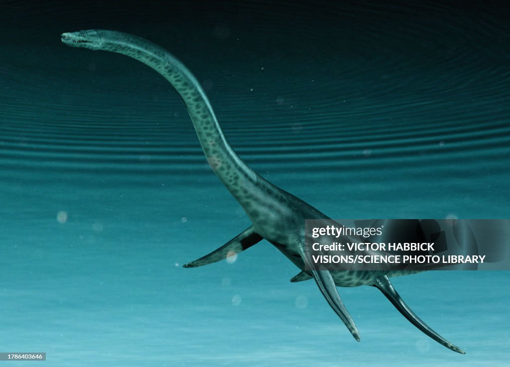 Loch Ness monster, illustration