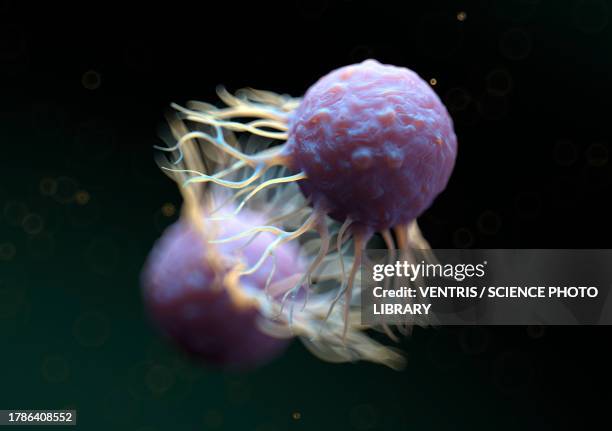 High Resolution Cancer Cancer Cell Illustration High-Res Vector Graphic - Getty Images