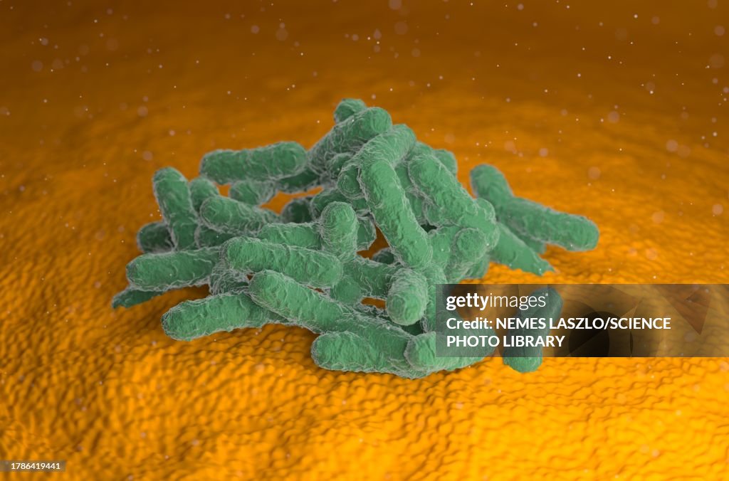 E. Coli Bacterium Escherichia Coli Bacteria Illustration High-Res Vector Graphic - Getty ...