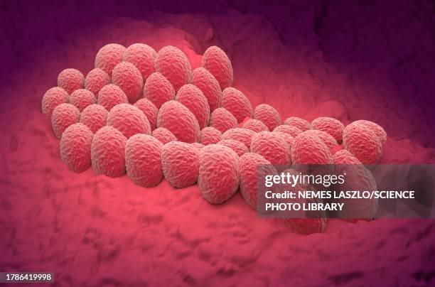 endometrial cancer, illustration - endometrial cancer stock illustrations