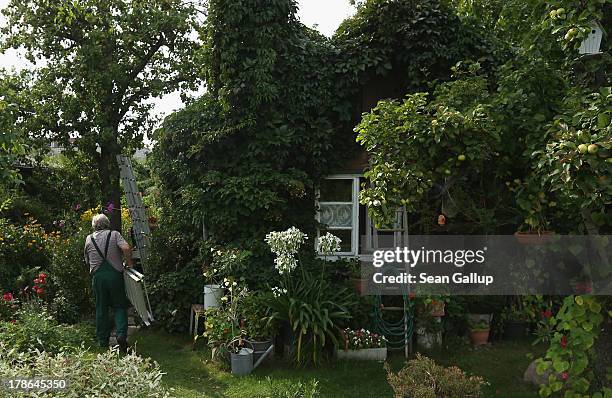 Mario carries a ladder past the ivy-covered cottage in the garden he and his wife Monika have leased for the last 30 years in the Oeynhausen Small...