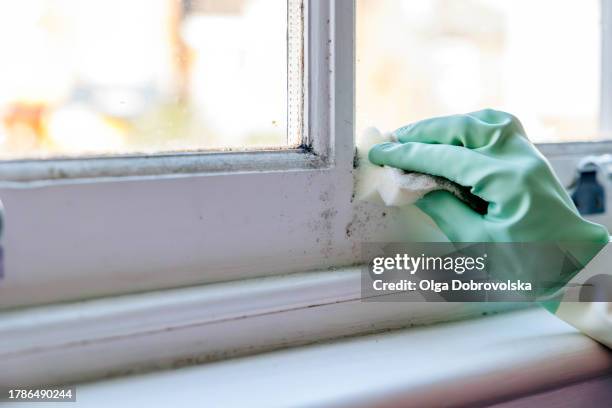 a hand in a rubber glove cleaning a window frame off a mould with a sponge - handschuh stock-fotos und bilder