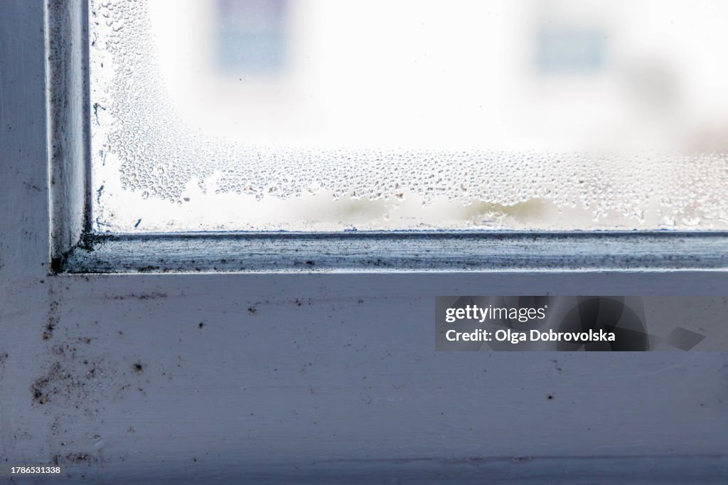 Condensation drops and mould on a window