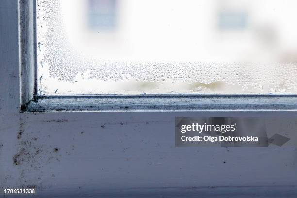 condensation drops and mould on a window - mofo imagens e fotografias de stock