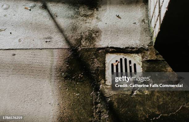 abstract close-up of a dirty, wet drain placed in concrete - rainwater basin stock pictures, royalty-free photos & images